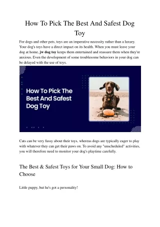 How To Pick The Best And Safest Dog Toy