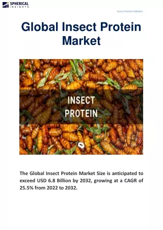 Global Insect Protein Market