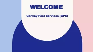 Best Pest Control in Galway