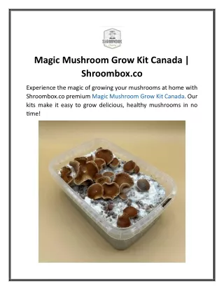 Magic Mushroom Grow Kit Canada  Shroombox.co