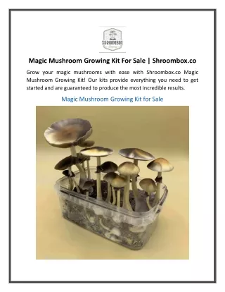 Magic Mushroom Growing Kit For Sale Shroombox.co