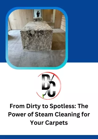 From Dirty to Spotless The Power of Steam Cleaning for Your Carpets