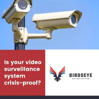 Birdeyesurveillance