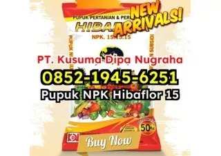 AMPUH! WA 0852-1945-6251 Agen Jual Cara Menggunakan Pupuk NPK Hibaflor Jakarta Barat