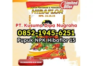 EKSKLUSIF! WA 0852-1945-6251 Agen Jual Pupuk NPK Hibaflor Untuk Meningkatkan Kualitas Hasil Panen Jakarta Timur