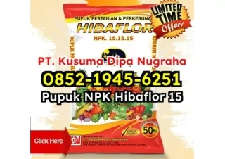 HEMAT! WA 0852-1945-6251 Bakulan Jual Pupuk NPK Hibaflor Untuk Meningkatkan Kualitas Tanaman Kepulauan Seribu