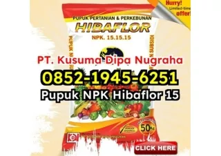 BERKUALITAS! WA 0852-1945-6251 Dealer Jual Hibaflor 15-15-15 Petani Jakarta Timur