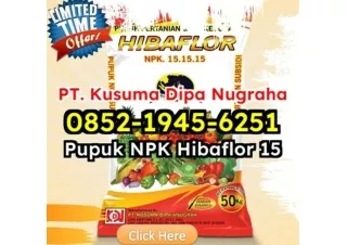 CUCI GUDANG! WA 0852-1945-6251 Dimana Jual Jual Pupuk NPK Hibaflor Jakarta Utara