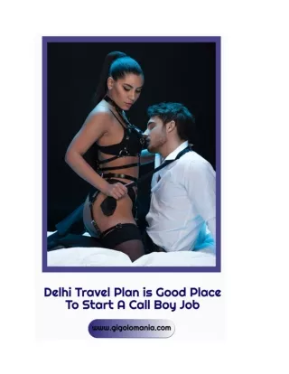 Delhi Travel Plan is Good Place To Start A Call Boy Job