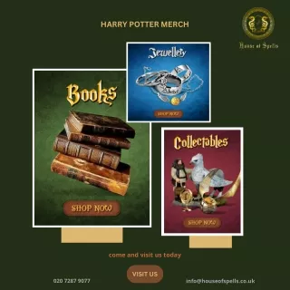 Harry Potter Merch  | House of Spells