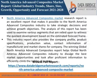 North America Advanced Composites -Chemical Material