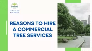 Reasons To Hire A Commercial Tree Services