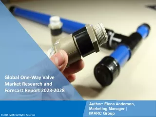 One-Way Valve Market Research and Forecast Report 2023-2028