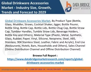 Global Drinkware Accessories Market