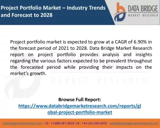 Project Portfolio Market