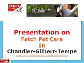 Fetch pet care and pet care in chandler Gilbert Tempe.