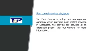 Pest Control Services in Singapore