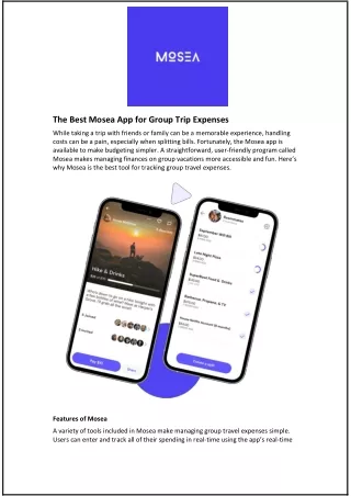The Best Mosea App for Group Trip Expenses