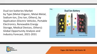 Global Dual-ion batteries Market ppt