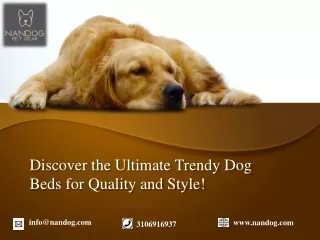 Discover the Ultimate Trendy Dog Beds for Quality and Style!