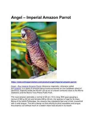 Imperial Amazon Parrot