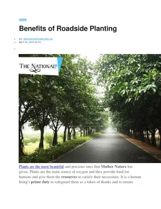 Benefits of Roadside Planting