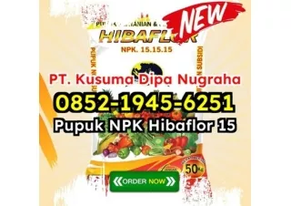 MENAKJUBKAN! WA 0852-1945-6251 Distributor Jual Pupuk NPK Hibaflor Untuk Peningkatan Hasil Panen Tangerang