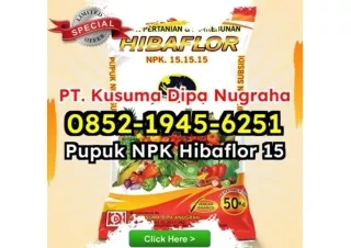 EKSKLUSIF! WA 0852-1945-6251 Grosir Jual Manfaat Pupuk NPK Hibaflor Bogor