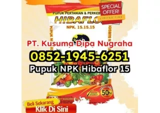 HEBOH! WA 0852-1945-6251 Harga Jual Petunjuk Aturan Penggunaan Pupuk NPK Hibaflor Depok