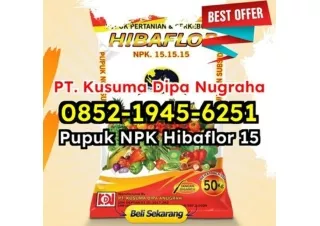 OBRAL! WA 0852-1945-6251 Harga Jual Pupuk NPK Hibaflor Untuk Penyerapan Nutrisi Optimal Bekasi