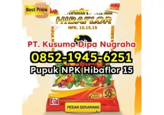 MANJUR! WA 0852-1945-6251 Jual Beli Pupuk NPK Hibaflor Alami Tangerang Selatan