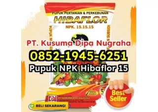 SALE! WA 0852-1945-6251 Jual Beli Pupuk NPK Hibaflor Untuk Pertanian Modern Bandung Barat