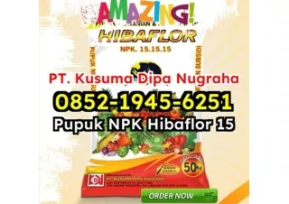 MANTAB! WA 0852-1945-6251 Jual Manfaat Pupuk NPK Hibaflor Berkualitas Bekasi