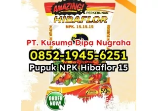 SATU-SATUNYA! WA 0852-1945-6251 Jual Manfaat Pupuk NPK Hibaflor Untuk Pertanian Organik Banjar