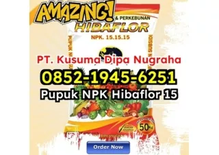 MENAKJUBKAN! WA 0852-1945-6251 Jual Paket Pupuk NPK Hibaflor Daya Larut Tinggi Bandung