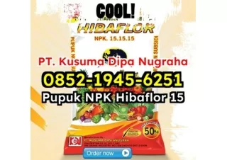 SOLUSI! WA 0852-1945-6251 Jual Paket Pupuk NPK Hibaflor Untuk Pertanian Vertikal Ciamis