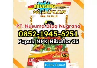 HEMAT! WA 0852-1945-6251 Jual Pupuk NPK Hibaflor 15-15-15 Asli Tangerang