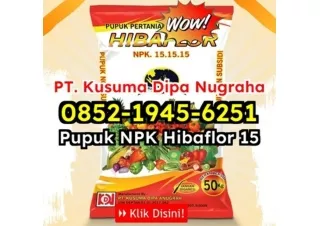 PROMO! WA 0852-1945-6251 Jual Pupuk NPK Hibaflor Untuk Pertanian Hidroponik Bandung