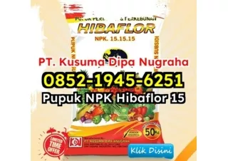 PROMO! WA 0852-1945-6251 Pabrik Jual Pupuk NPK Hibaflor Fosfor Tinggi Ciamis