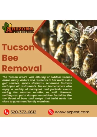 Tucson Bee control_Azpest