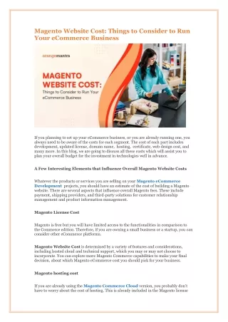 Magento Website Cost: Things to Consider to Run Your eCommerce Business