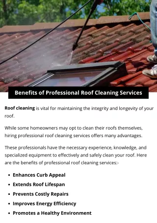 Benefits of Professional Roof Cleaning Services