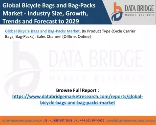 Global Bicycle Bags and Bag-Packs Market