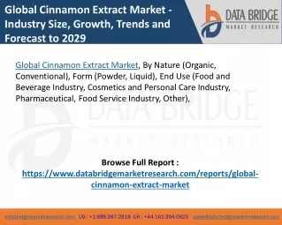 Global Cinnamon Extract Market