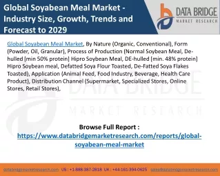 Global Soyabean Meal Market