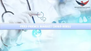 Feed Premix Market | Global Industry Size Forecast 2029