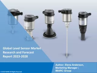Level Sensor Market Research and Forecast Report 2023-2028