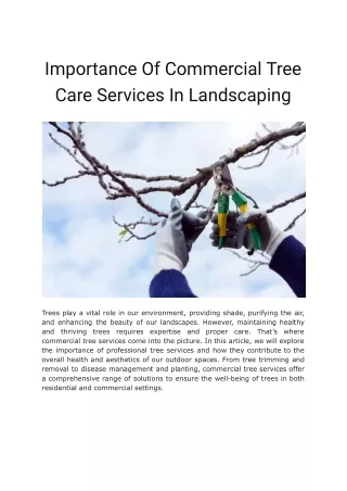 Importance Of Commercial Tree Care Services In Landscaping