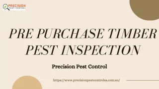 Termite Inspection Adelaide