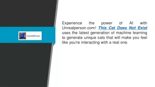 This Cat Does Not Exist Unrealperson.com